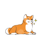 柴犬ちゃん（赤柴）（個別スタンプ：15）