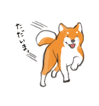 柴犬ちゃん（赤柴）（個別スタンプ：17）