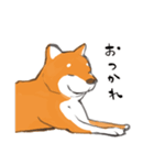 柴犬ちゃん（赤柴）（個別スタンプ：20）