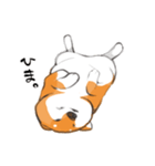 柴犬ちゃん（赤柴）（個別スタンプ：21）