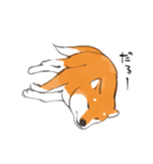 柴犬ちゃん（赤柴）（個別スタンプ：22）
