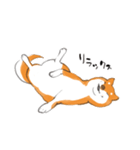 柴犬ちゃん（赤柴）（個別スタンプ：23）