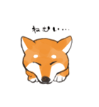 柴犬ちゃん（赤柴）（個別スタンプ：24）