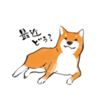 柴犬ちゃん（赤柴）（個別スタンプ：26）