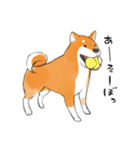 柴犬ちゃん（赤柴）（個別スタンプ：27）