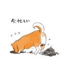柴犬ちゃん（赤柴）（個別スタンプ：28）
