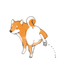 柴犬ちゃん（赤柴）（個別スタンプ：30）