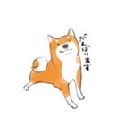 柴犬ちゃん（赤柴）（個別スタンプ：31）