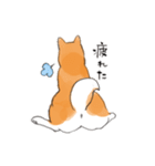 柴犬ちゃん（赤柴）（個別スタンプ：33）