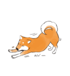 柴犬ちゃん（赤柴）（個別スタンプ：34）