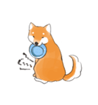 柴犬ちゃん（赤柴）（個別スタンプ：38）