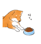 柴犬ちゃん（赤柴）（個別スタンプ：39）