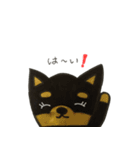わんこde会話（個別スタンプ：12）