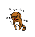 たぬきさんと1匹（個別スタンプ：16）
