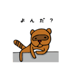 たぬきさんと1匹（個別スタンプ：27）