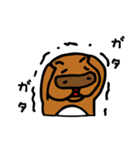 たぬきさんと1匹（個別スタンプ：32）