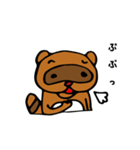 たぬきさんと1匹（個別スタンプ：34）