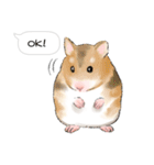 Hamsters Dialog（個別スタンプ：17）