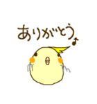 オカメインコのプリンです（個別スタンプ：8）