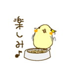 オカメインコのプリンです（個別スタンプ：14）