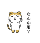 ねこのこのすけ（個別スタンプ：3）