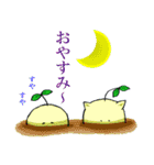 キヒロ☆種の妖精（個別スタンプ：4）