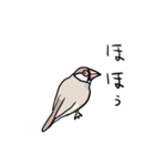 桜文鳥チャッピー第3弾（個別スタンプ：26）