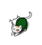 兵隊ネコ（個別スタンプ：31）