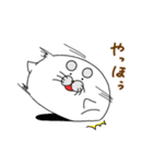 まるまゆあざらし 2（個別スタンプ：1）