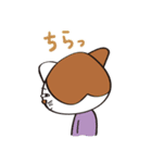 新人ねこざわくん（個別スタンプ：13）