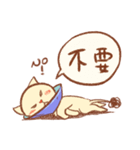 Mr. Lu（個別スタンプ：19）