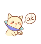 Mr. Lu（個別スタンプ：20）