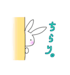 うさたのチラ見（個別スタンプ：1）