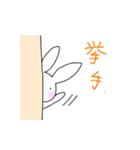 うさたのチラ見（個別スタンプ：14）