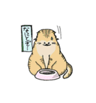 たぶんねこ、きっとねこ。（個別スタンプ：16）
