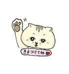 たぶんねこ、きっとねこ。（個別スタンプ：22）
