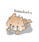 Bacon the cutie pom（個別スタンプ：1）