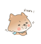 Bacon the cutie pom（個別スタンプ：3）