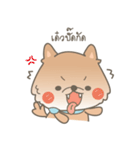 Bacon the cutie pom（個別スタンプ：10）