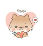 Bacon the cutie pom（個別スタンプ：14）