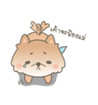 Bacon the cutie pom（個別スタンプ：18）