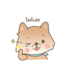 Bacon the cutie pom（個別スタンプ：19）