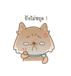 Bacon the cutie pom（個別スタンプ：25）