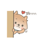 Bacon the cutie pom（個別スタンプ：40）