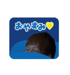 金森健志（個別スタンプ：2）