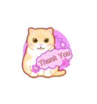 Cream Brother the Cat Stickers（個別スタンプ：2）