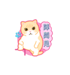 Cream Brother the Cat Stickers（個別スタンプ：19）