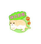 Cream Brother the Cat Stickers（個別スタンプ：27）