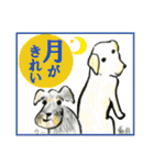 北海道犬ろし。第6.4弾！！！！！！！（個別スタンプ：29）