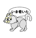 ひげなしにゃんこ（個別スタンプ：6）